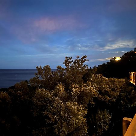 Villa L'Alpana En Bois Vue Mer A 180 Degres 사리 솔렌자라 외부 사진